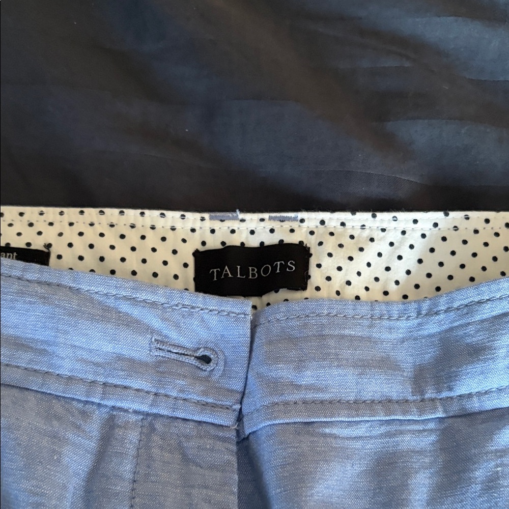 Talbots Sky Blue Skirt with Polka Dot Lining